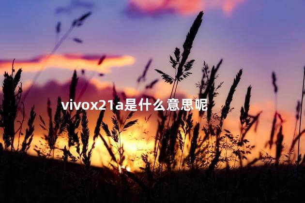 vivox21a是什么意思呢